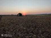Agricultura, Pecurária e Silvicultura. além de vendas de Silagem Pré Secada e Gado Holandês.