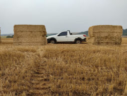 Fazenda Arkafla, Castro (PR) 