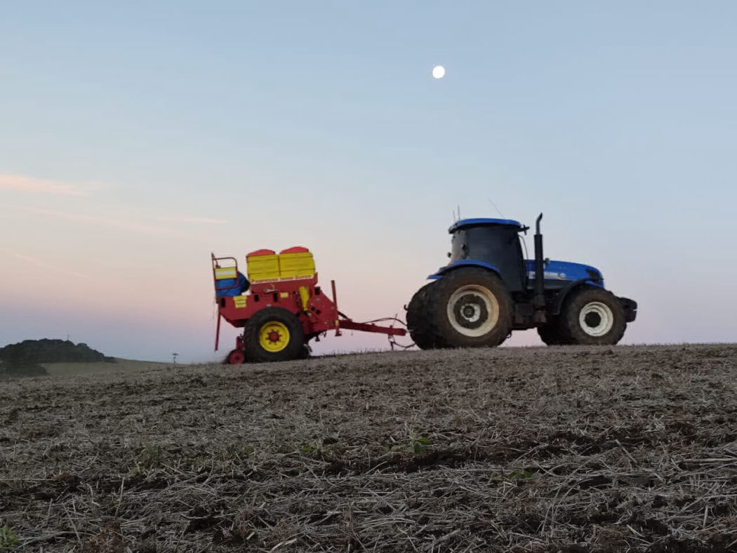 AGRO ARKAFLA também possui Pecuária de Leite parte da produção de milho, aveia branca e azevém são transformados em silagem para alimentação do rebanho.