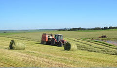 Silagem Pré Secada Embalada