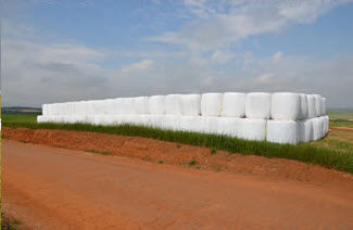 Silagem Pré Secada Embalada