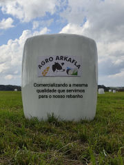 Agricultura, Pecurária e Silvicultura. além de vendas de Silagem Pré Secada e Gado Holandês.