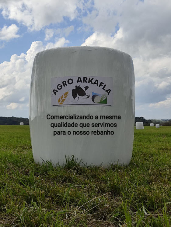 Silagem Pré Secada Embalada